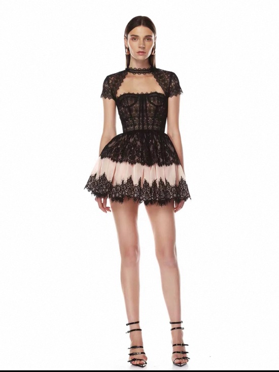 Bronx and Banco Dresses & Skirts - Bronx and Banco Black Lace Mini with Blush Underlayer